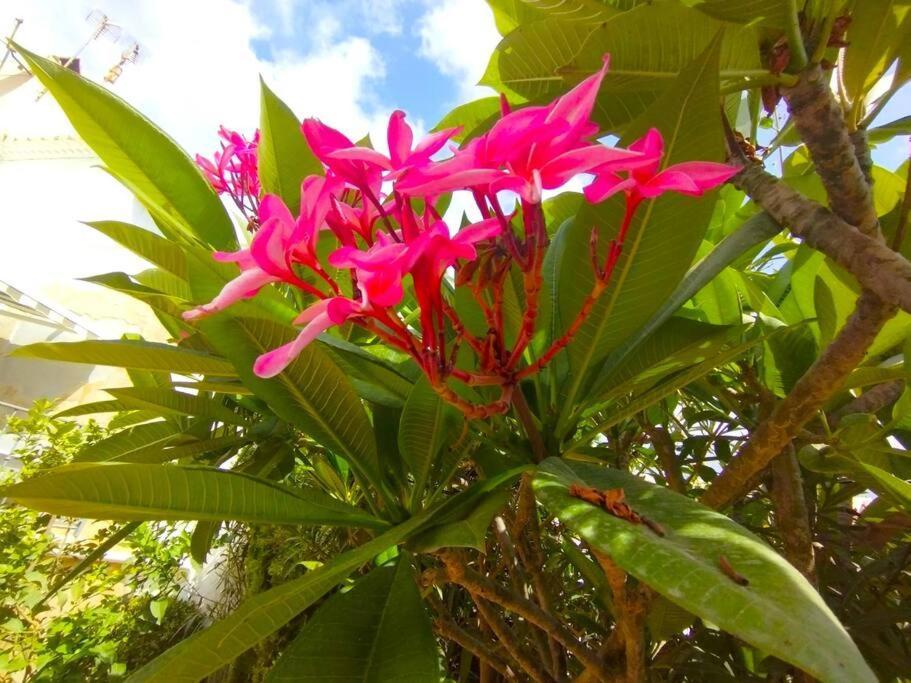 Beautiful 3 Bedroom Townhouse In Urb. Tropicana, Nerja Exterior foto